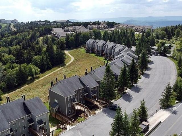 Condo for sale in Snowshoe, West Virginia