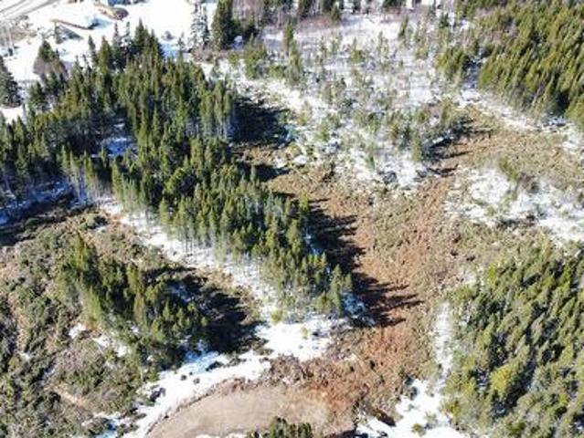 Land for sale in Cormack, Newfoundland And Labrador