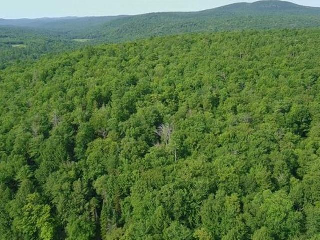 Land for sale in New Hampshire