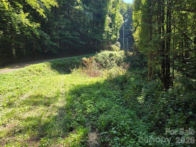 Land for sale in Haywood, North Carolina