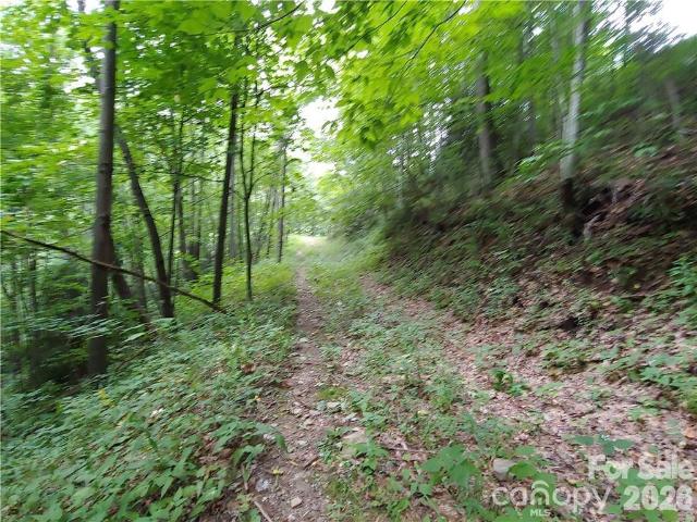 Land for sale in Haywood, North Carolina
