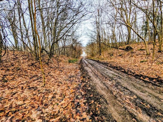 Land for sale in Minetto, New York
