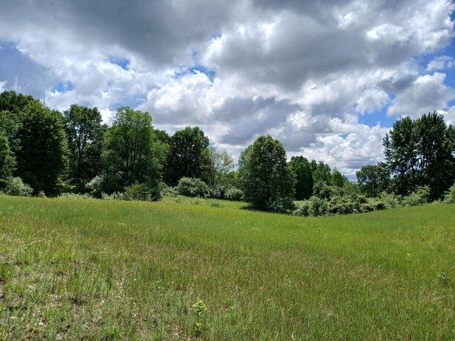 Land for sale in Fountain, Michigan