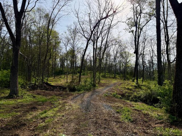 Land for sale in Carlisle, Kentucky
