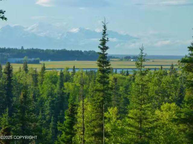 House for sale in Kasilof House for sale in Kasilof