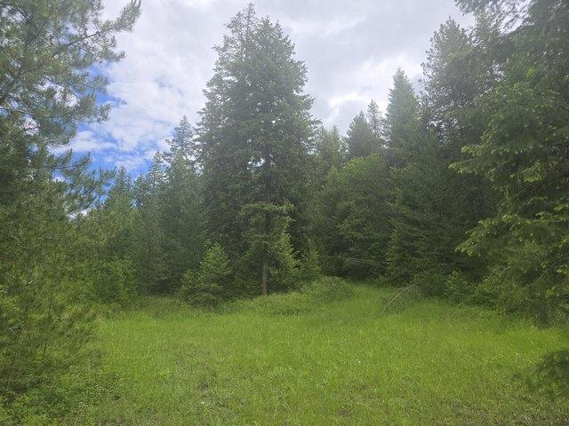 Land for sale in Colville, Washington