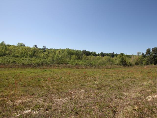 Land for sale in Ozark, Dale County