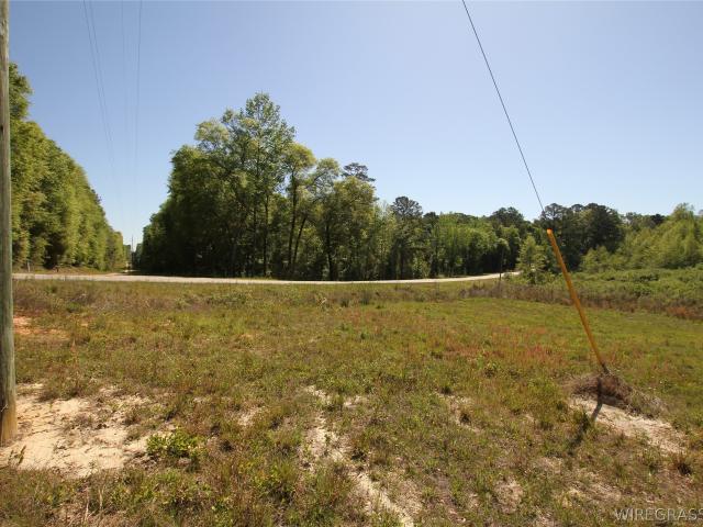 Farm for sale in Dale, Alabama