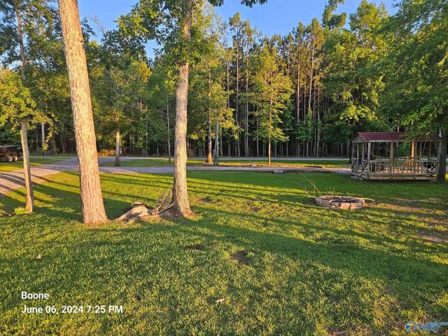 Land for sale in Cedar Bluff, Alabama