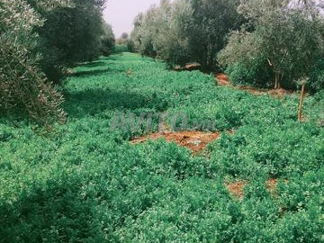 Propriété vente à Meknès