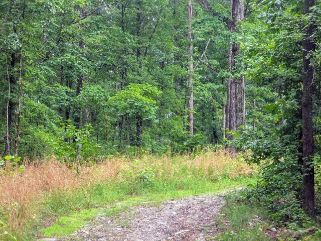 Land for sale in Benton Land for sale in Benton