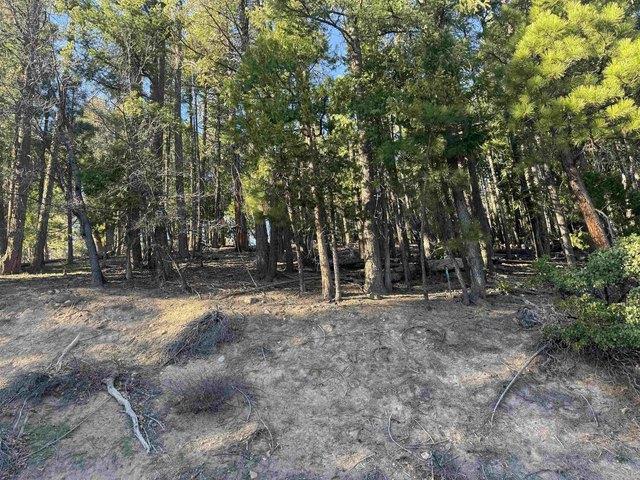Land for sale in Quincy, California