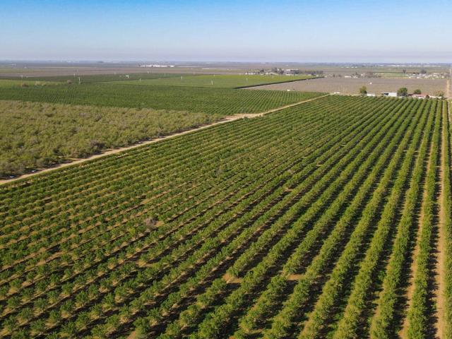 Land for sale in Chowchilla, California