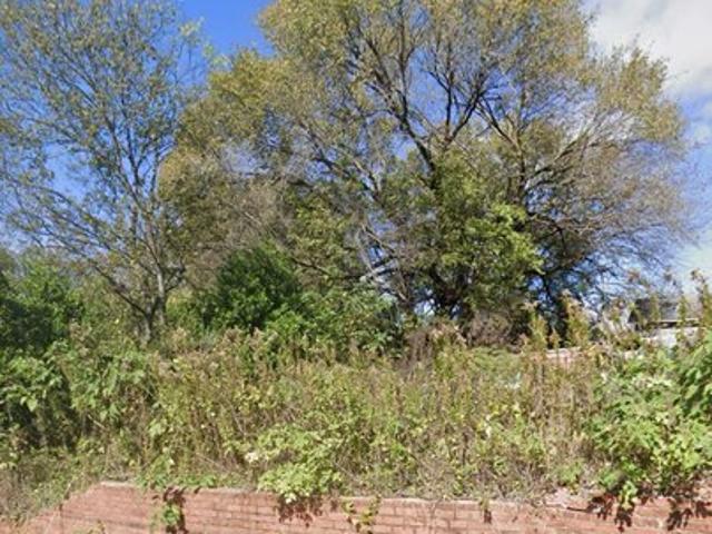 Land for sale in Box Springs, Georgia
