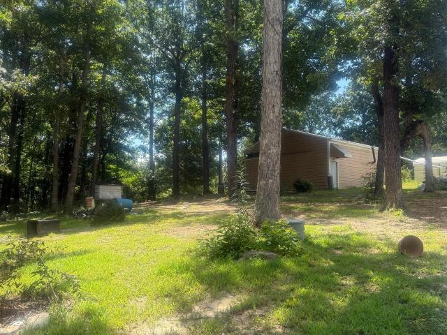 Land for sale in Lafe, Greene County