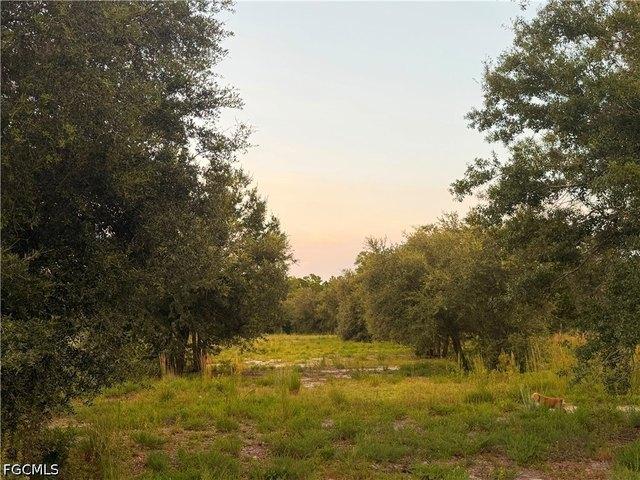 Land for sale in Clewiston, Florida