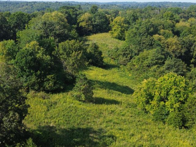 Farm for sale in Barefoot, Carlisle