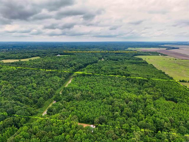 House for sale in Wynne
