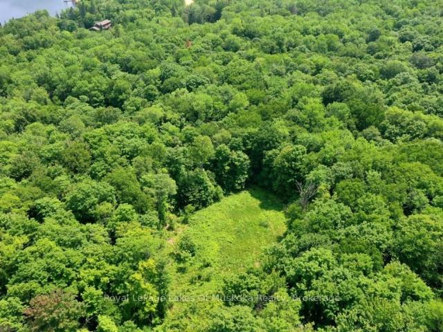 Land for sale in Ontario