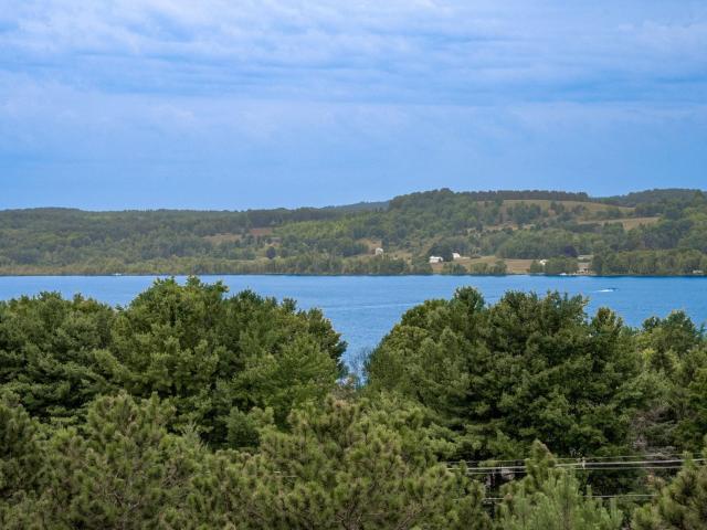House for sale in Bingham Township, Leelanau County