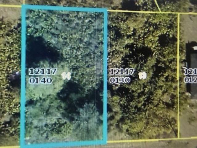Land for sale in Lehigh Acres, Florida