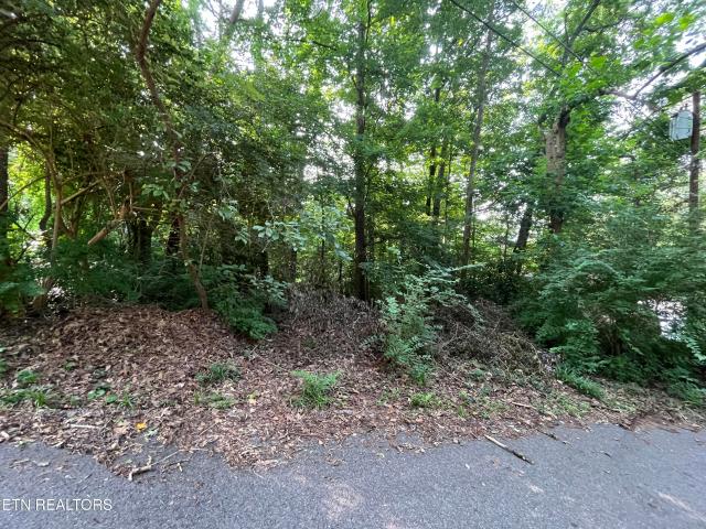 Land for sale in Knoxville