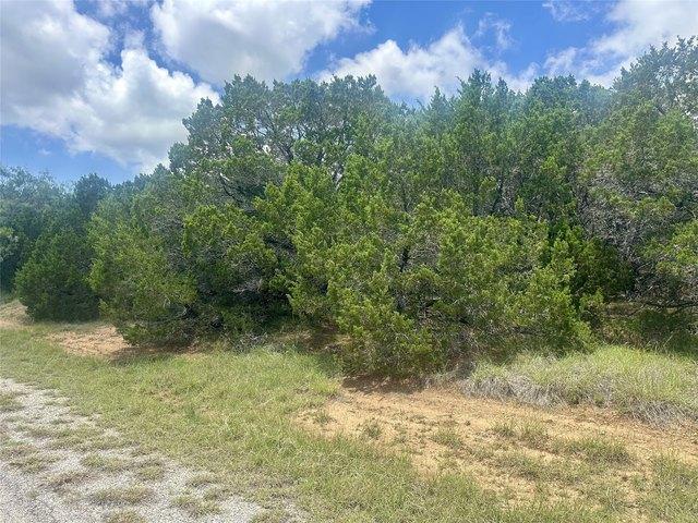 Land for sale in Whitney, Hill County