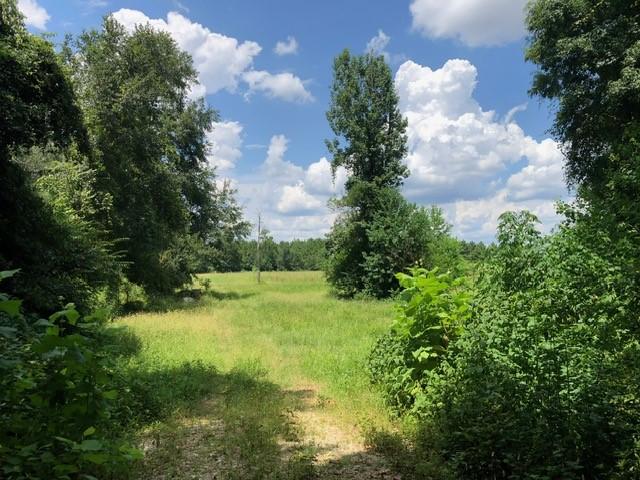 Land for sale in Magnolia, Texas