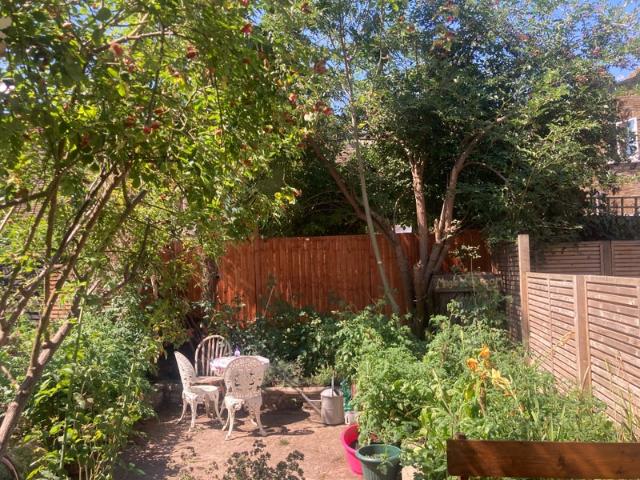 Studio for rent in Shepherd's Bush, Greater London