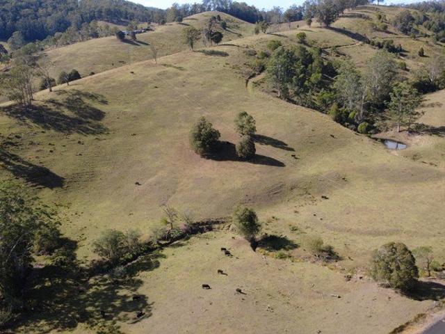 Cottage for sale in Waukivory, New South Wales