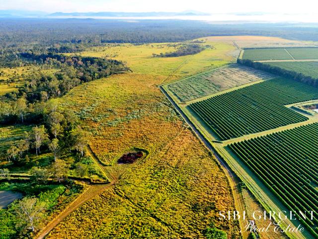Land for sale in Paddys Green, Queensland