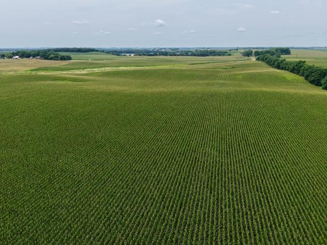 Land for sale in Tracy, Minnesota