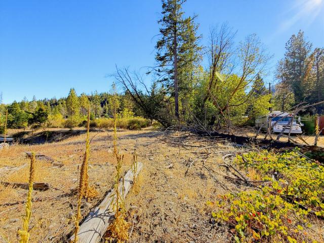 Land for sale in Trinity County, California