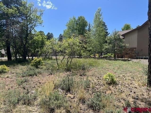 Land for sale in La Plata, Colorado