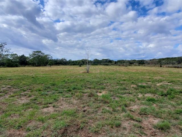 Land for sale in Francitas, Texas