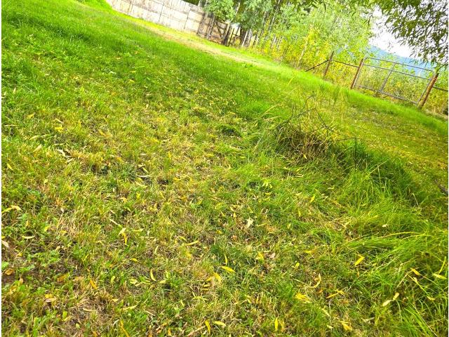 House for sale in Long Creek, Grant County