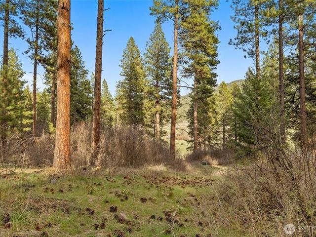 Land for sale in Cle Elum, Washington