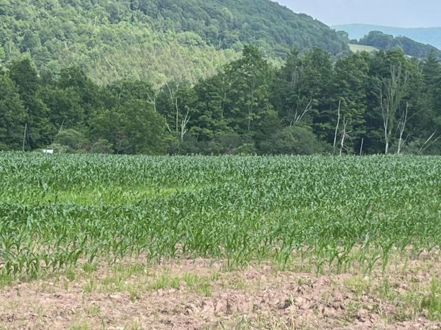Land for sale in Pennsylvania