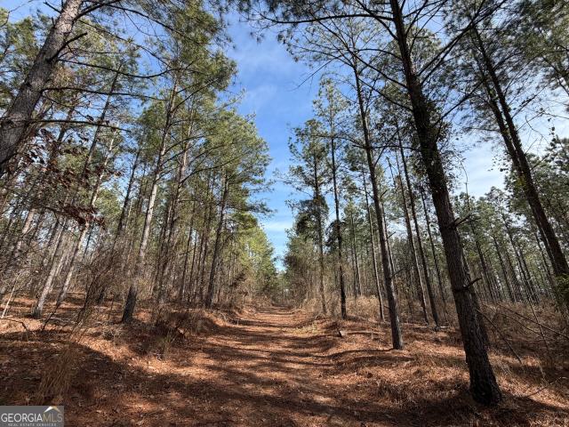 Land for sale in Baldwin, Georgia