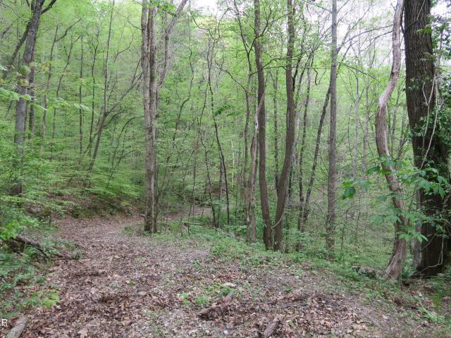 Land for sale in Tennessee