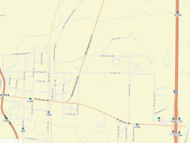 Land for sale in Vienna, Georgia