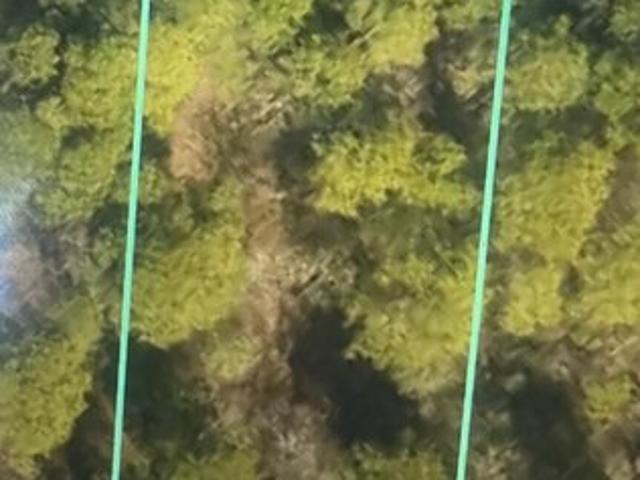 Land for sale in Harrells, North Carolina