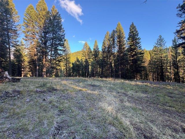 Land for sale in Seeley Lake, Montana