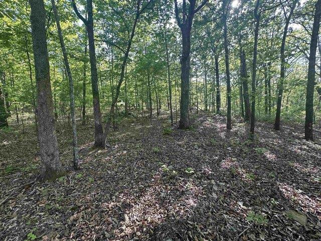 Land for sale in Ark