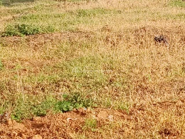 Land for sale in Guzape, Sokoto