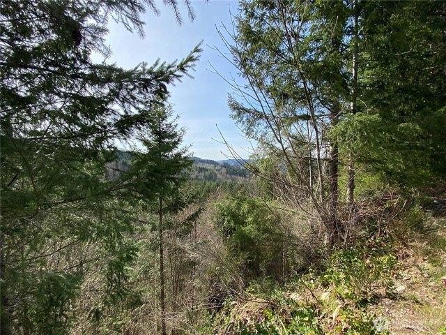 Land for sale in Orting, Washington