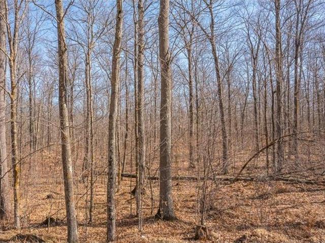 Land for sale in Isle, Minnesota