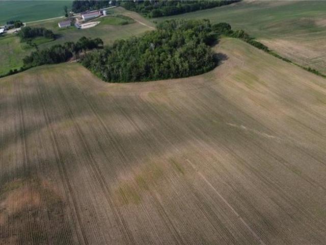 Land for sale in Hampton, Minnesota