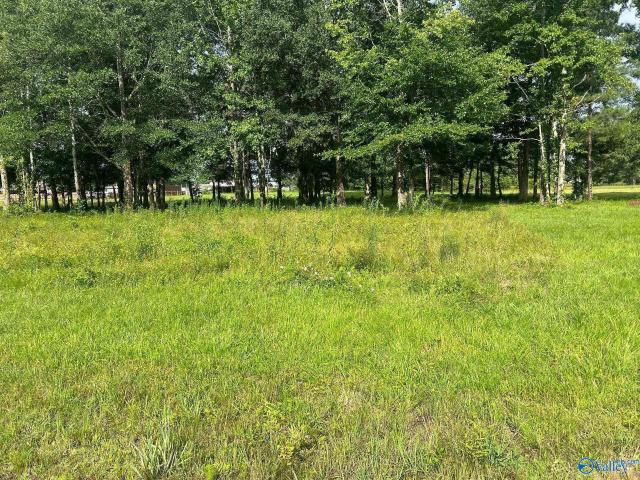 Land for sale in Elkmont, Limestone County