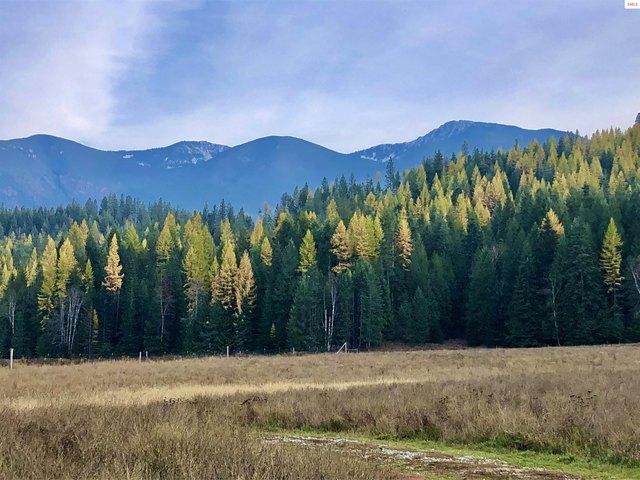 Land for sale in Bonners Ferry, Idaho